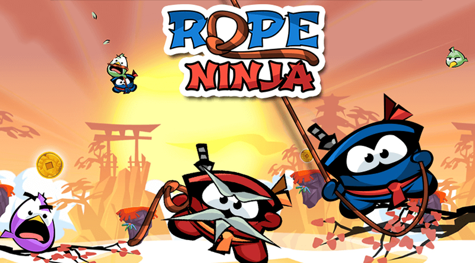 Rope Ninja